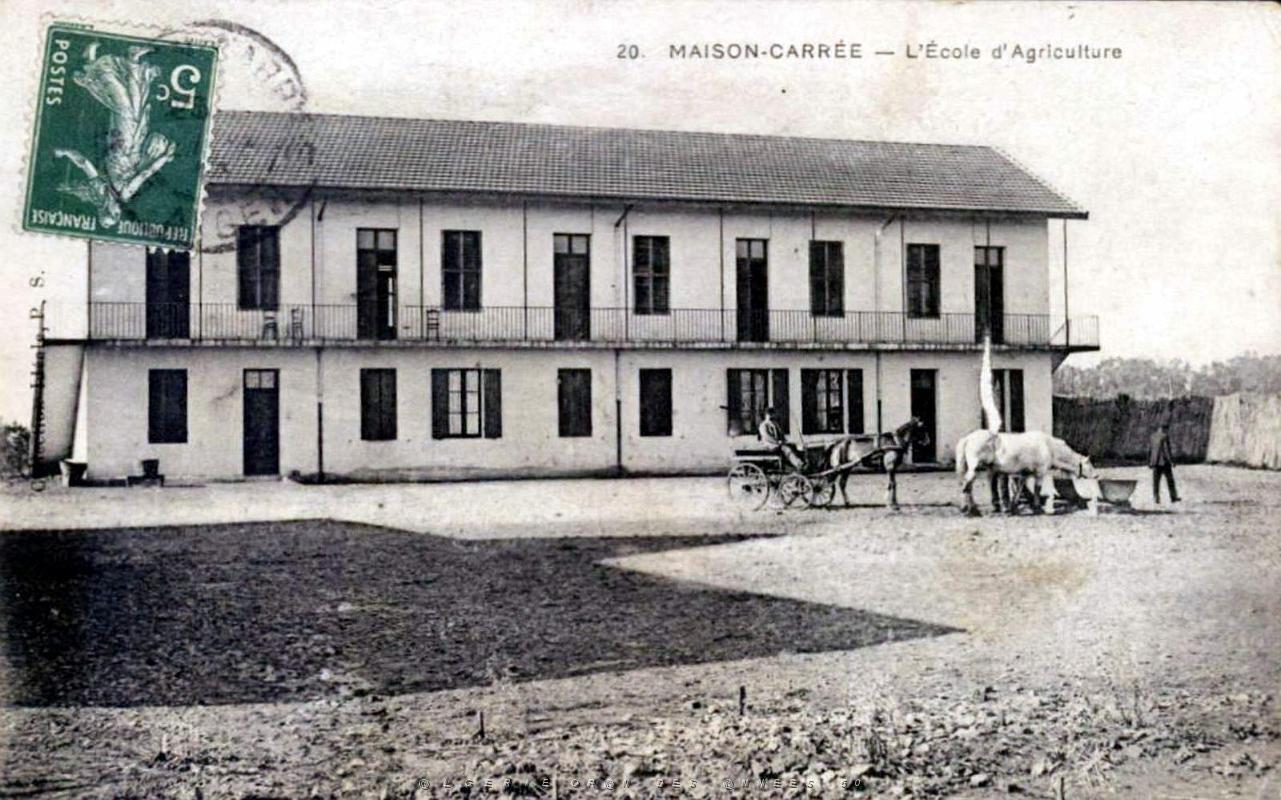 ALGER - MAISON-CARREE - Ecole Nationale d'Agriculture (19).jpg